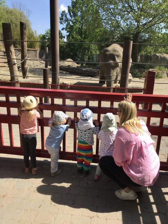 Kita Marie Curie Straße im Zoo Münster