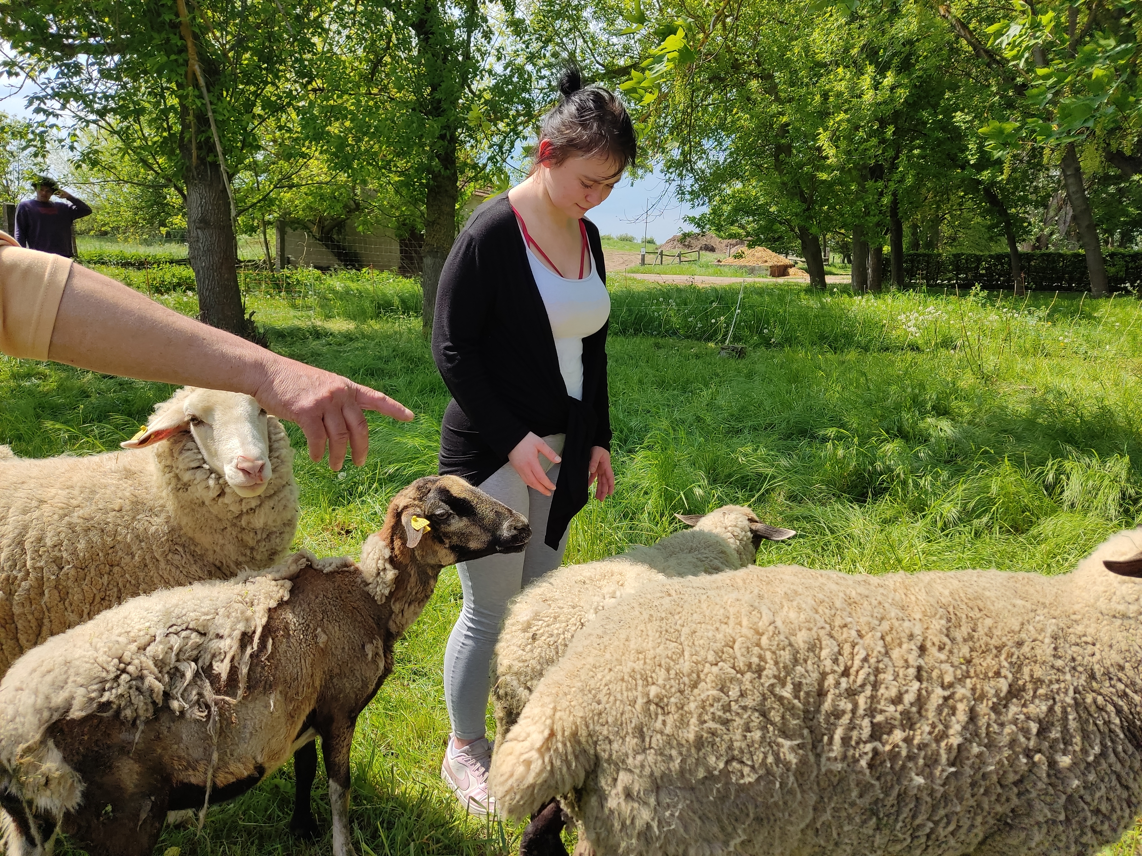 Tiere versorgen auf dem Bauernhof