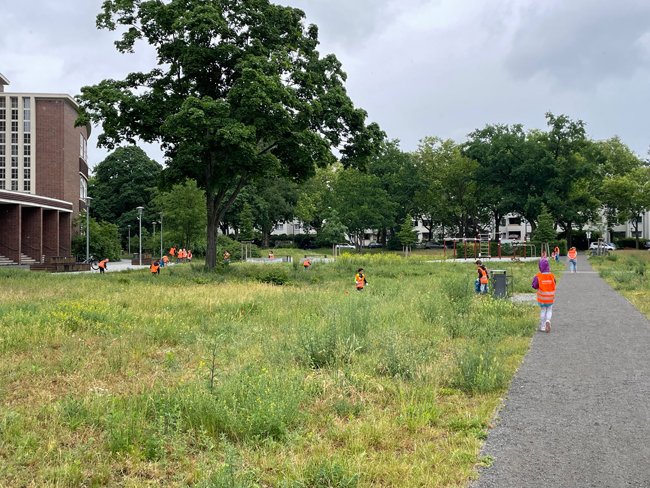 Aktionswoche des Berliner Kitabündnisses