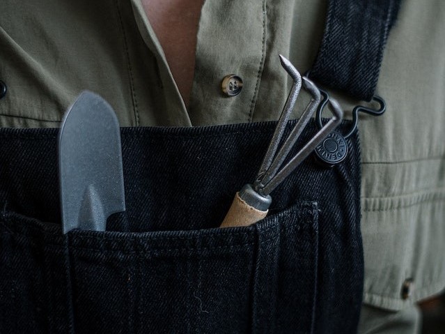 Foto: Pexels | cottonbro studio